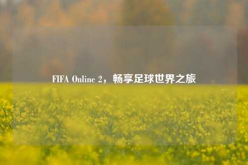 FIFA Online 2，畅享足球世界之旅