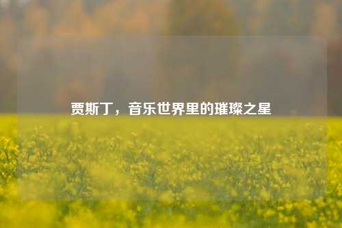 贾斯丁，音乐世界里的璀璨之星