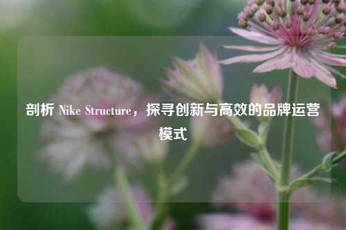 剖析 Nike Structure,探寻创新与高效的品牌运营模式