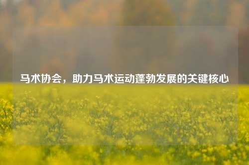 马术协会,助力马术运动蓬勃发展的关键核心