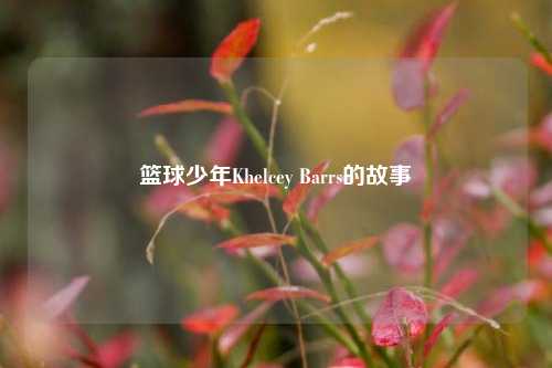 篮球少年Khelcey Barrs的故事