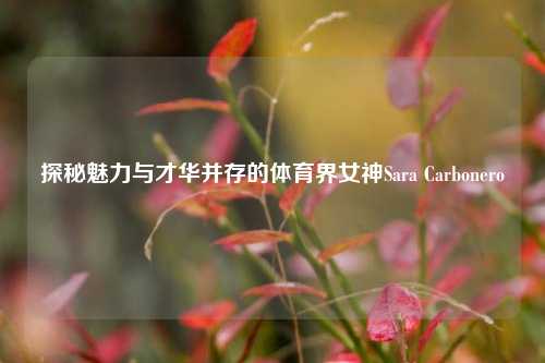 探秘魅力与才华并存的体育界女神Sara Carbonero