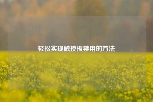 轻松实现触摸板禁用的方法