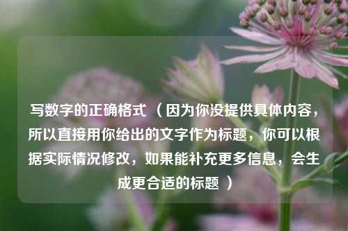 写数字的正确格式 （因为你没提供具体内容，所以直接用你给出的文字作为标题，你可以根据实际情况修改，如果能补充更多信息，会生成更合适的标题 ）