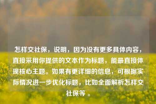 怎样交社保，说明，因为没有更多具体内容，直接采用你提供的文本作为标题，能最直接体现核心主题。如果有更详细的信息，可根据实际情况进一步优化标题，比如全面解析怎样交社保等 。