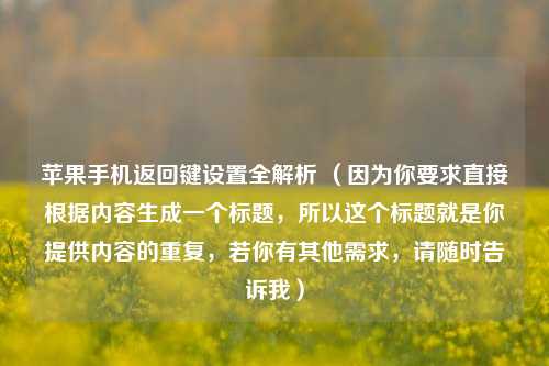 苹果手机返回键设置全解析 （因为你要求直接根据内容生成一个标题，所以这个标题就是你提供内容的重复，若你有其他需求，请随时告诉我）