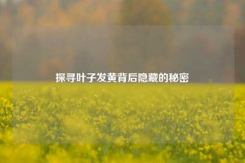 探寻叶子发黄背后隐藏的秘密