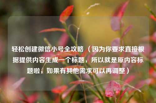 轻松创建微信小号全攻略 （因为你要求直接根据提供内容生成一个标题，所以就是原内容标题啦，如果有其他需求可以再调整）