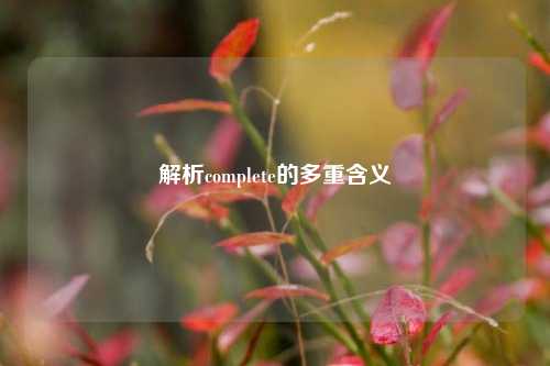 解析complete的多重含义