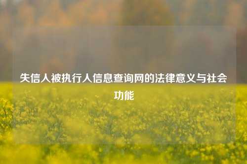 失信人被执行人信息查询网的法律意义与社会功能