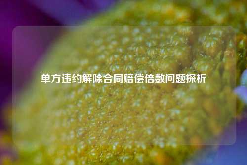 单方违约解除合同赔偿倍数问题探析
