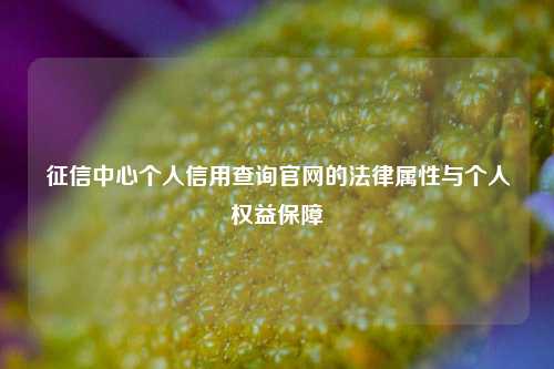 征信中心个人信用查询官网的法律属性与个人权益保障