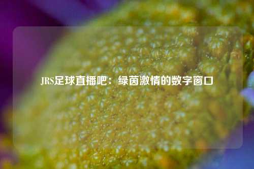JRS足球直播吧：绿茵激情的数字窗口