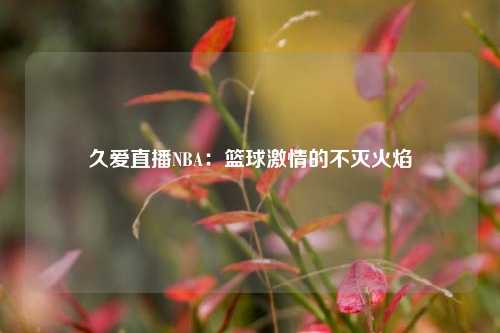 久爱直播NBA:篮球激情的不灭火焰