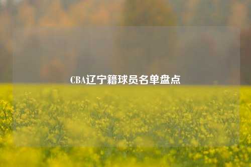 CBA辽宁籍球员名单盘点
