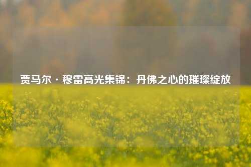 贾马尔·穆雷高光集锦：丹佛之心的璀璨绽放