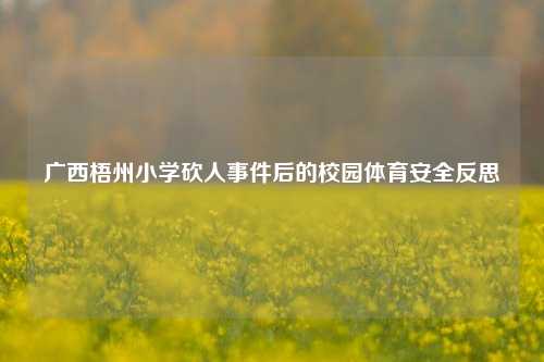广西梧州小学砍人事件后的校园体育安全反思