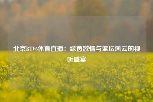 北京BTV6体育直播：绿茵激情与篮坛风云的视听盛宴