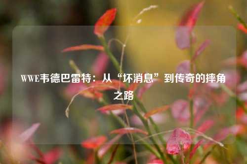 WWE韦德巴雷特：从“坏消息”到传奇的摔角之路