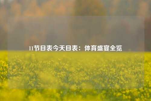 11节目表今天目表：体育盛宴全览