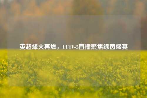 英超烽火再燃，CCTV-5直播聚焦绿茵盛宴