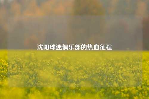 沈阳球迷俱乐部的热血征程