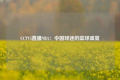 CCTV5直播NBA：中国球迷的篮球盛宴