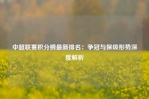 中超联赛积分榜最新排名：争冠与保级形势深度解析