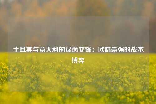 土耳其与意大利的绿茵交锋:欧陆豪强的战术博弈