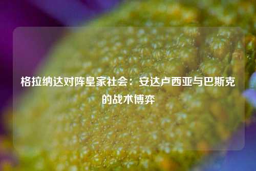 格拉纳达对阵皇家社会：安达卢西亚与巴斯克的战术博弈