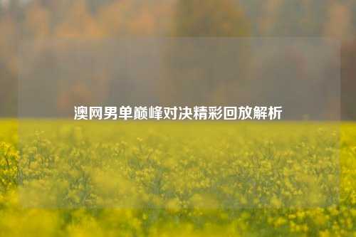 澳网男单巅峰对决精彩回放解析
