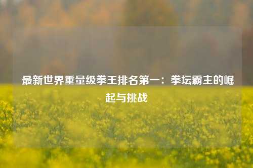  最新世界重量级拳王排名第一：拳坛霸主的崛起与挑战