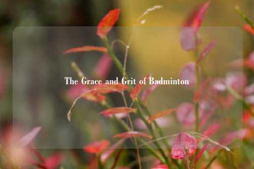 The Grace and Grit of Badminton