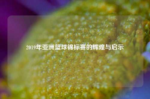 2019年亚洲篮球锦标赛的辉煌与启示