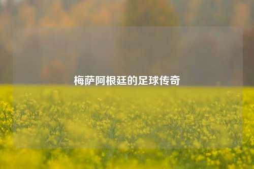 梅萨阿根廷的足球传奇
