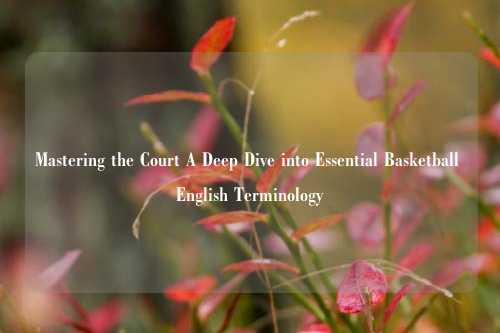 Mastering the Court A Deep Dive into Essential Basketball English Terminology