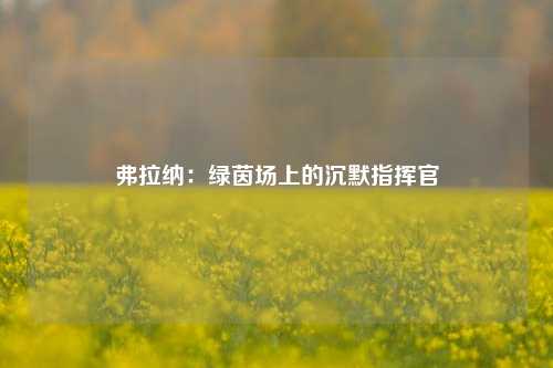 弗拉纳：绿茵场上的沉默指挥官