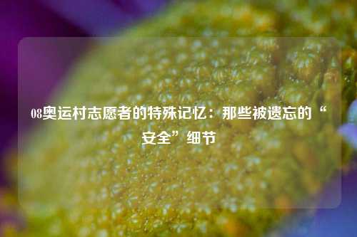 08奥运村志愿者的特殊记忆：那些被遗忘的“安全”细节