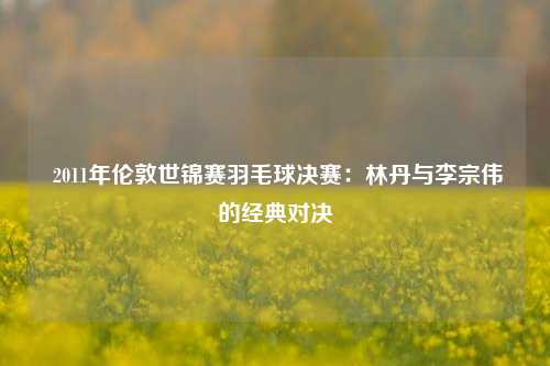  2011年伦敦世锦赛羽毛球决赛：林丹与李宗伟的经典对决