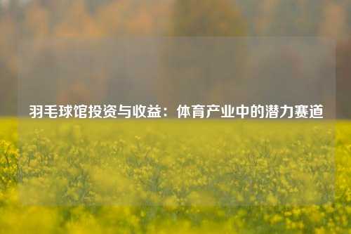 羽毛球馆投资与收益：体育产业中的潜力赛道