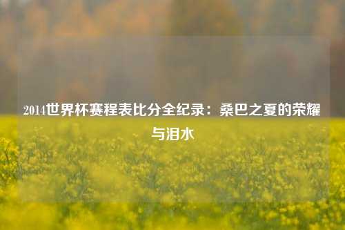 2014世界杯赛程表比分全纪录：桑巴之夏的荣耀与泪水