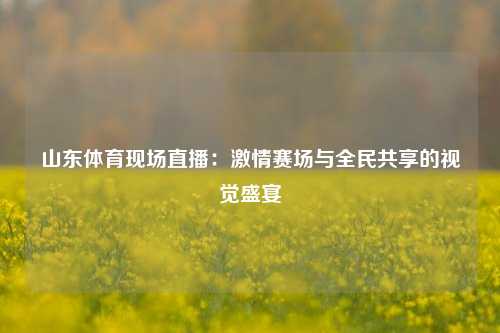 山东体育现场直播：激情赛场与全民共享的视觉盛宴