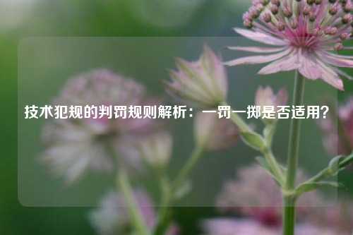 技术犯规的判罚规则解析：一罚一掷是否适用？