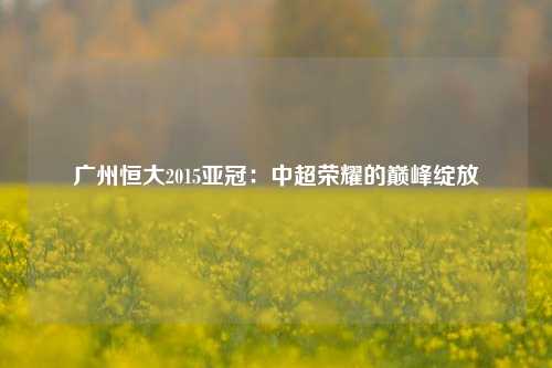 广州恒大2015亚冠：中超荣耀的巅峰绽放