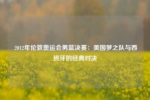  2012年伦敦奥运会男篮决赛：美国梦之队与西班牙的经典对决