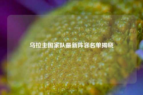 乌拉圭国家队最新阵容名单揭晓
