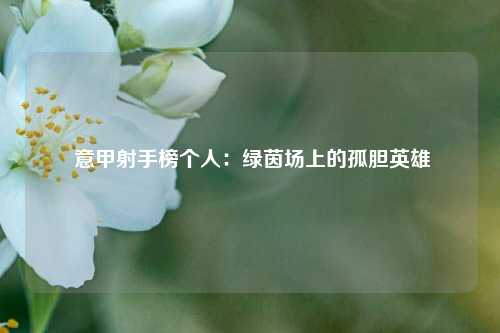  意甲射手榜个人：绿茵场上的孤胆英雄