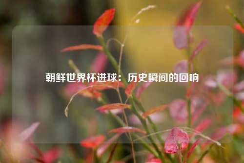 朝鲜世界杯进球：历史瞬间的回响