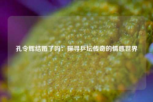孔令辉结婚了吗：探寻乒坛传奇的情感世界