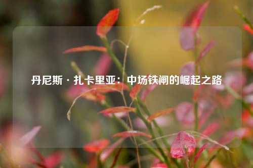 丹尼斯·扎卡里亚：中场铁闸的崛起之路